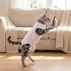 Breathable Fabric Pet Sterilization Suit Soft Material Cat Protective Vest  Spaying