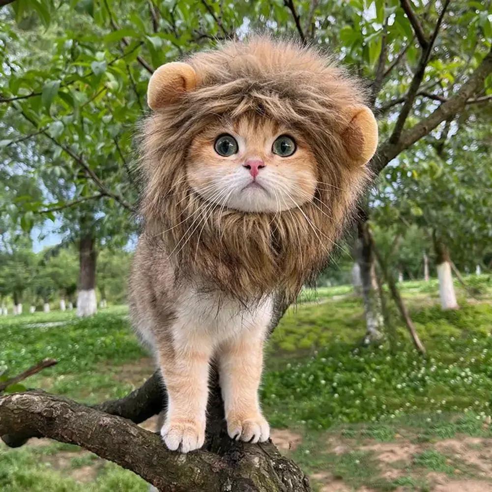 1PC Decorative Pet Hat Soft Lightweight Lion-style Hats Breathable Pet Hood Adorable Pet Photography Props Cat Costume Cosplay