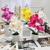 Artificial Phalaenopsis Potted Plant Silk Fabric Material Props Photography
