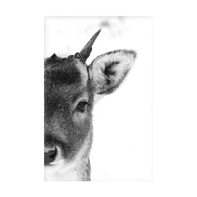 Animal Side Face Portrait Modern Wall Canvas Print Wild Life Art Poster Black and White Photo For Living Room Home Decor Cuadros