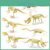 Triassic Dinosaur Fossil Construction Kit With Assembly For Young Paleontology Enthusiasts