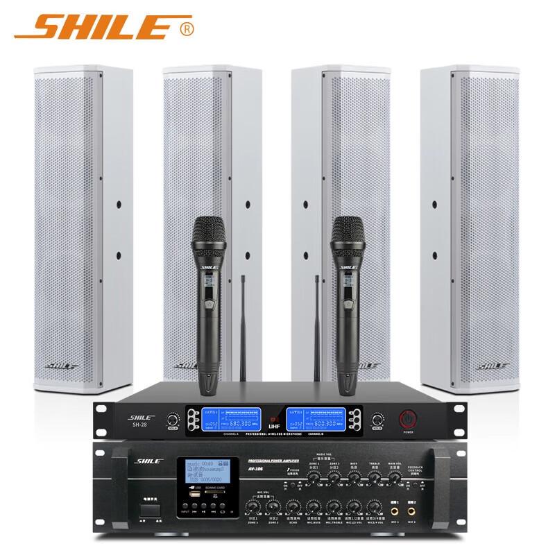 

SHILE Professional Conference Audio System Kit