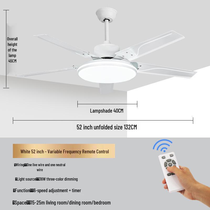 Modern Minimalist Ceiling Fan with Five Stainless Steel Blades, LED Light, Low Noise, and Frequency Conversion for Living Room or Dining Room.