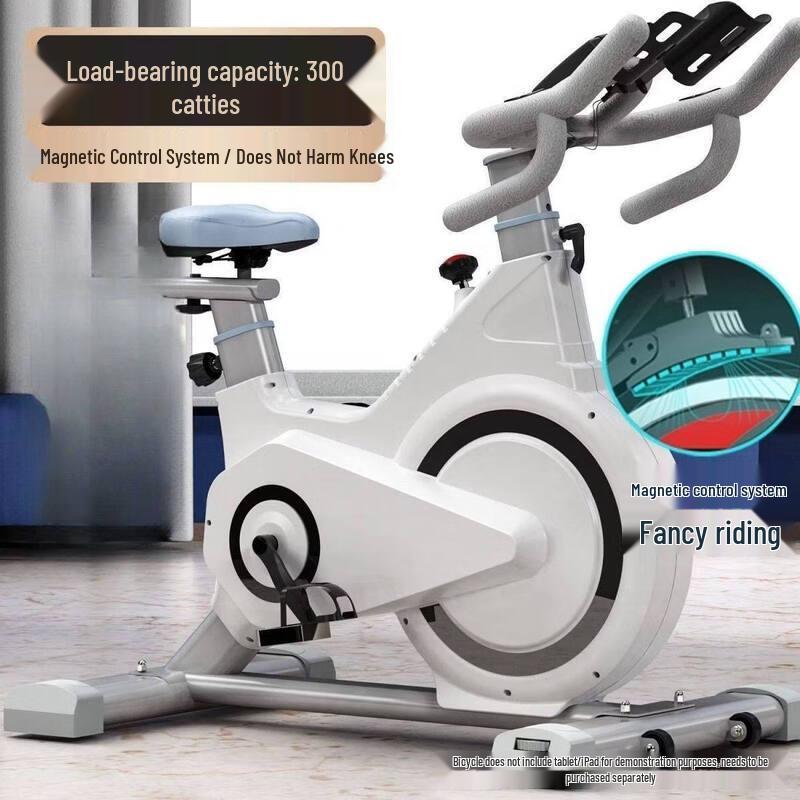 Brangdy Smart Indoor Exercise Bike CN plug (adapter included)