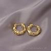 European American Style Luxury Stud Earrings: Elegant Cross-border Niche Hoops, Versatile Celebrity-inspired Accessories