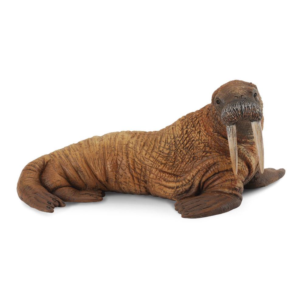 

CollectA Walrus Figure (Large)
