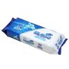 Wet Wipes for 100 Regular WS5100 Adults, Sheets, Thin, Size, Non-Flushable,