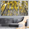 Yellow Birch Forest Canvas Painting Autumn Golden Tree Posters and Prints Landscape Pictures for Living Room Home Wall Decor