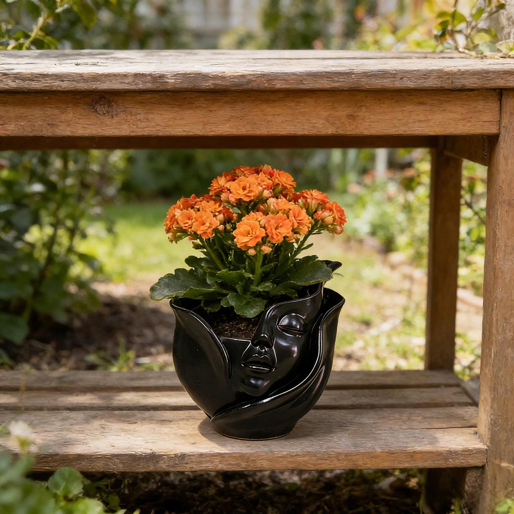 

Abstract Face Succulent Planter Set - White & Black Resin Flower Pots with Drainage Hole for Modern Indoor/Outdoor Home Decor