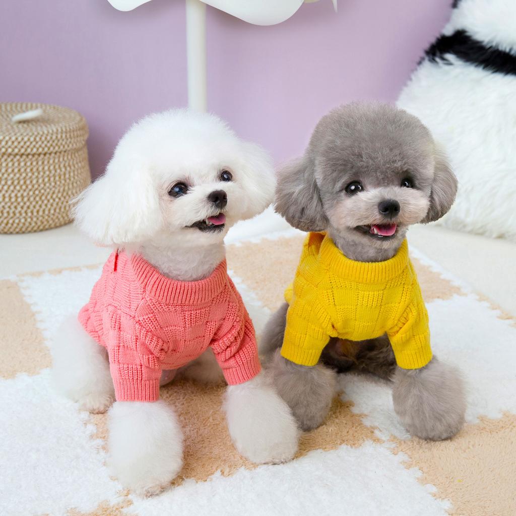 Pet kitten puppy clothes winter thickened pocket bear two legs sweater puppy winter clothing warm pet supplies