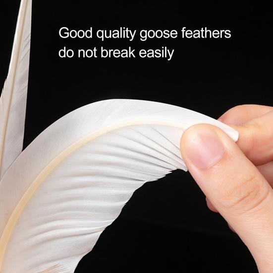 1/2/5 Pz Volani con Piume Leggeri Portatili Ispessiti Volani con Piume Colorate Sport all'Aperto con i Piedi