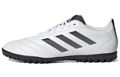 Goletto Viii Tf 'White Black' GY5774