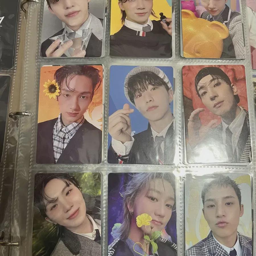 

Семнадцать 17 Здесь Группа Foca Оптовая Продажа