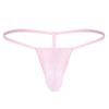 Men's See Through Thongs G-String Low Rise Underwear T-Back Bikini Briefs