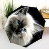 Black Kitten Pattern, Automatic Folding Umbrella, Portable and Foldable Design, 8 Ribs, a Christmas or Birthday Gift.