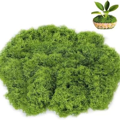 100G Artificial Moss Mini Landscape Green Moss Miniature Scene Moss Terrarium DIY Craft Preserved Plant Moss Garden Decor