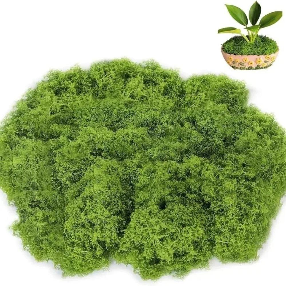 100G Artificial Moss Mini Landscape Green Moss Miniature Scene Moss Terrarium DIY Craft Preserved Plant Moss Garden Decor