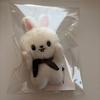 Used Stray Kids SKZOO Magnet Keychain Leebit
