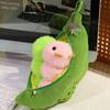 Caterpillar Green Soybeans Plush Keychain Fluffy Kidney Bean Plush Toy  Couple gift