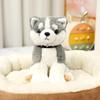 Cute Husky Schnauzer Shar Pei Plush Dog Doll in Boy Outfit
