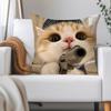 Funny Cat Cartoon Cute Pillow Case Applicable Space For Guest Rooms Interiors Cars Office House Decoration