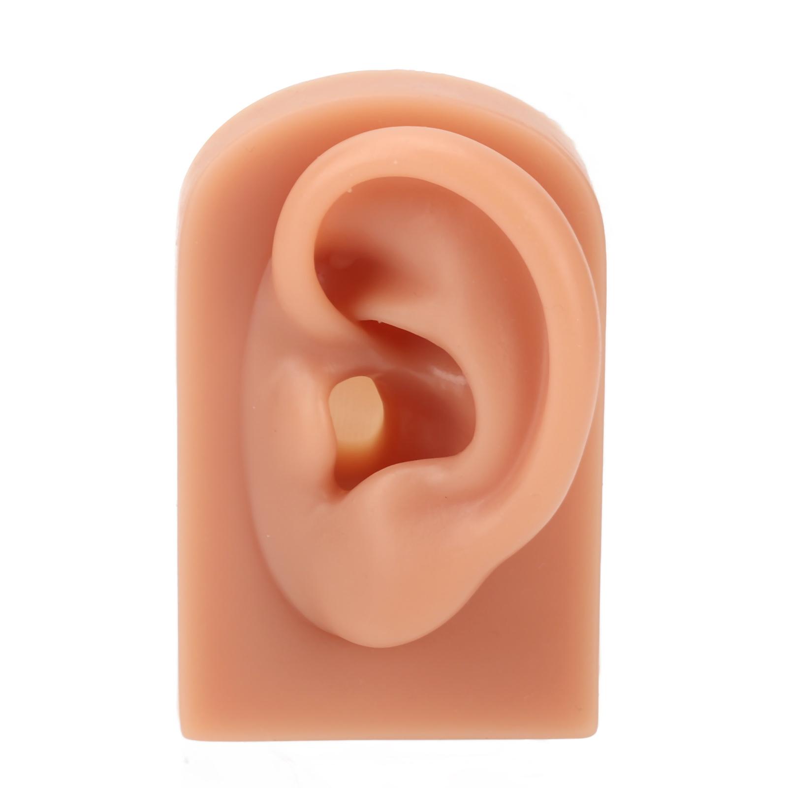 

3D Пирсинг Практика Уха Модель Темный Цвет Кожи Мягкий Силикон Уха Модель Для Сережек Дисплей