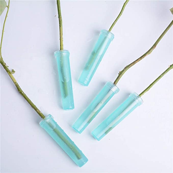 10pcs Flower Plant Nutrition Tube With Cover Flower Water Storage Tube Flower Arrangement Flower Water Tube Hydroponic Contain