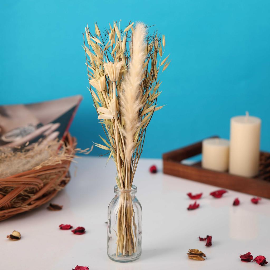 Liliana Dried Floral Bunny Tail (small) | 11.5 X 5.5 X 37.5 Cm