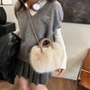 Plush Bag Women's Autumn and Winter Leisure 2025 New Niche Design Shoulder Messenger Bag Portable Fluffy Bucket Bag