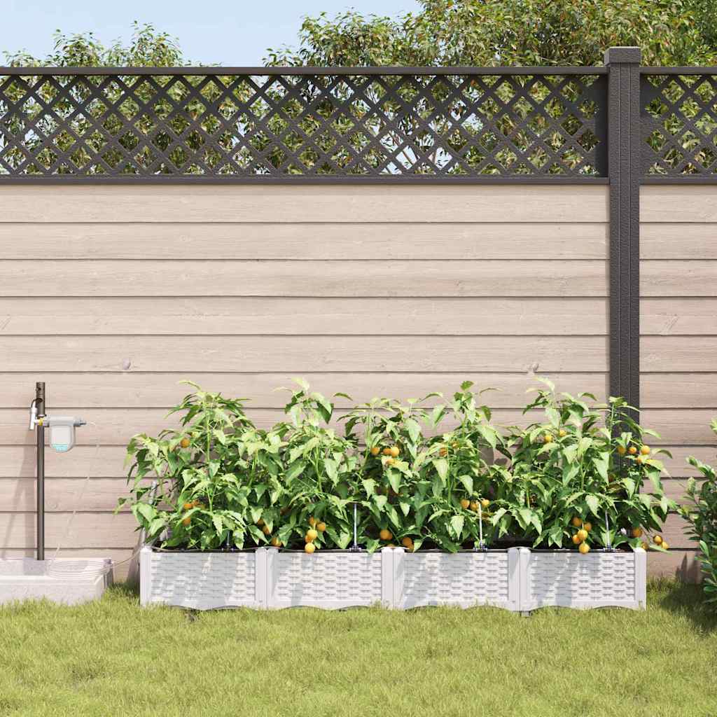 Garden Planter Set 4 pcs White 160 x 40 x 22 cm Plastic