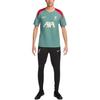 Nike LiverpoolDri FIT ADV Soccer Jersey Men's Green FN9260-362