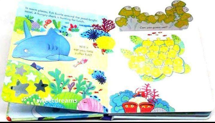[USED] Usborne Peep Inside the Sea Pop-up Book