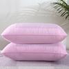 Five-star Hotel Buckwheat Pillow Cervical Vertebrae Pillow Core Adult Home Hotel Single Dormitory