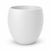 Un vaso per piante bianco, moderno e grande, per piante da casa e da ufficio.