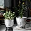Water Storage Plant Pot Self Watering Flowerpot with Visible Double Layer Rope Planter for Indoor Plants Orchids Herb Gardening