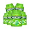 Green Arrow Sugar-Free Chewing Gum