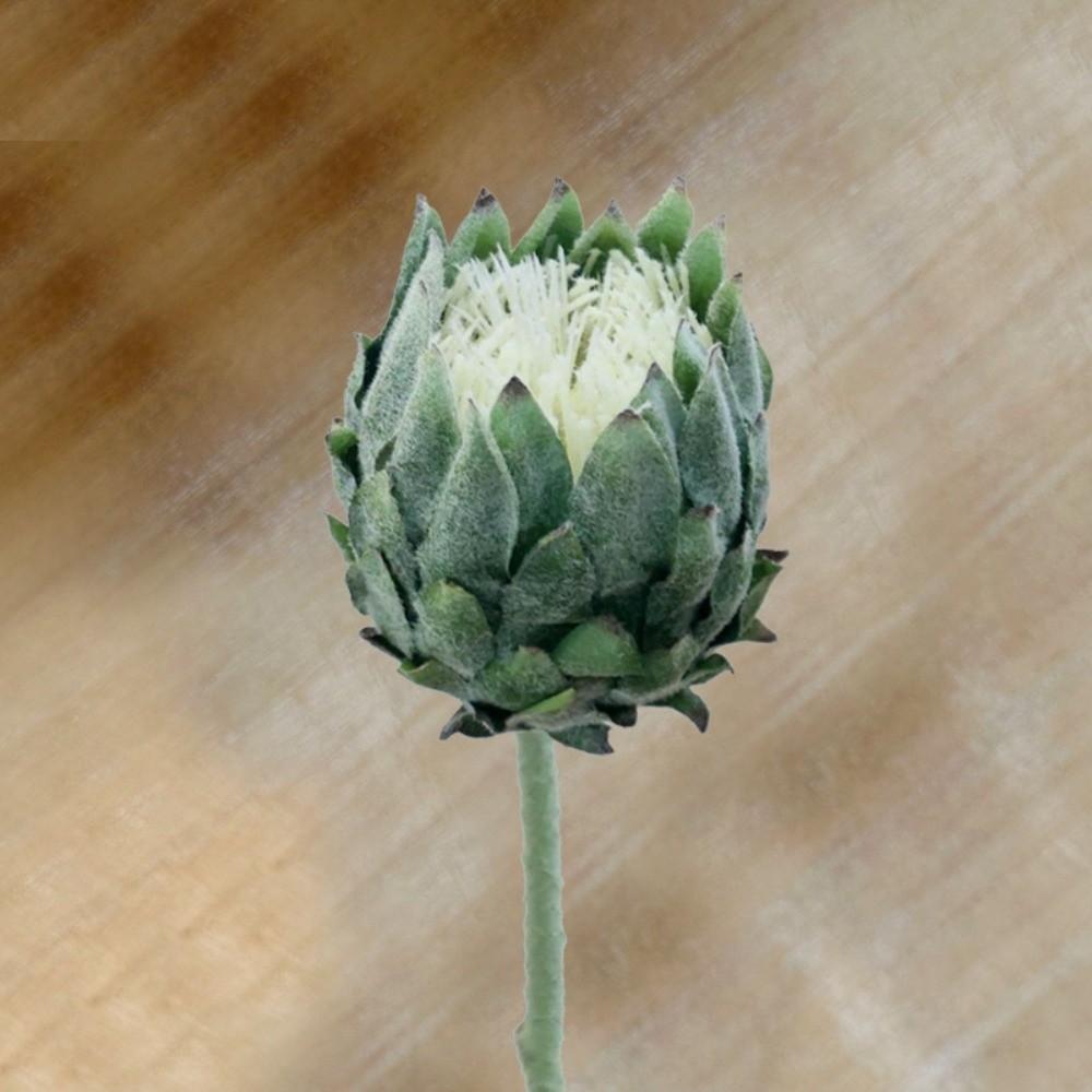

Large Size Artificial Flower Multicolor flocked King Protea Flower Lifelike DIY Artificial Artichoke Flower Wedding Decoration зелений