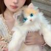 New Super Realistic Three Flower Cat Backpack Pure Handmade Cute Cat Plush Doll Shopping Bag Travel Storage Makeup Bag Gift