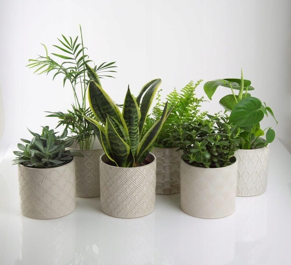 Osłonka ceramiczna kremowa szkliwiona 13 cm cylinder geometryczna 1 szt.