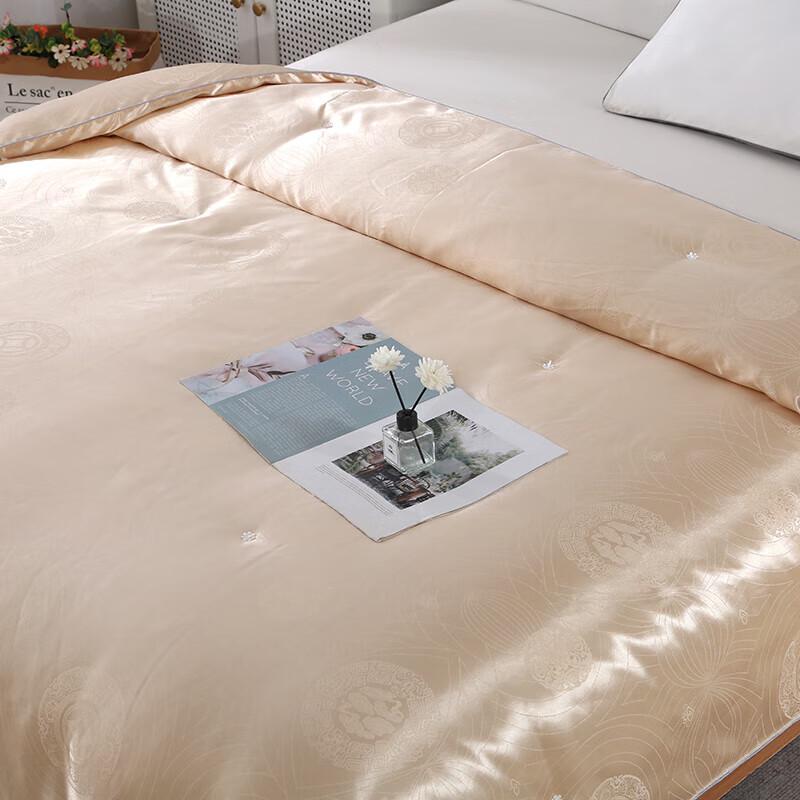 Golden Satin Jacquard Summer Air-Conditioning Fiber Quilt