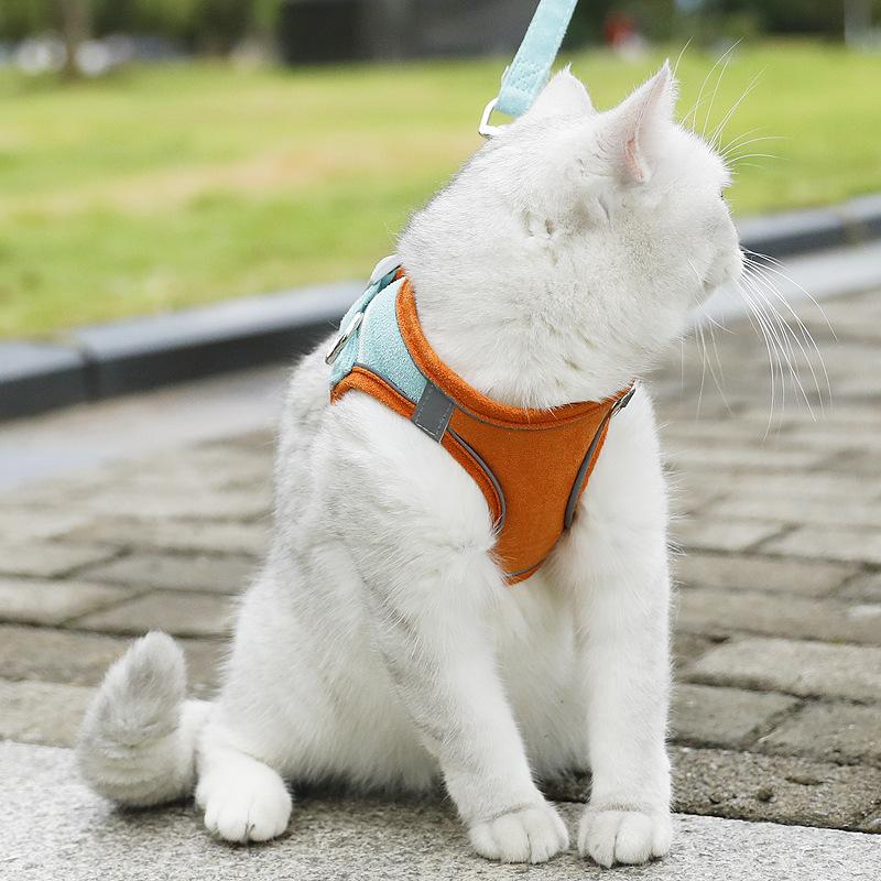 Pet Chest and Back Straps, Small Dog Vest Style Dog Leash, Dog Walking Leash, Cat Supplies, Breathable and Reflective