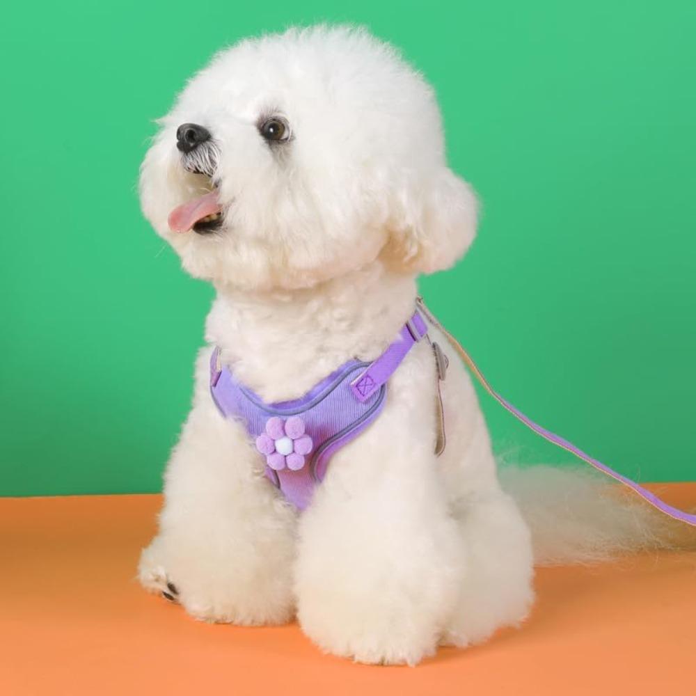 

Lilac Purple Sunflower Small Dog Harness Leash Set Dog Harness Small Medium Large Dogs
