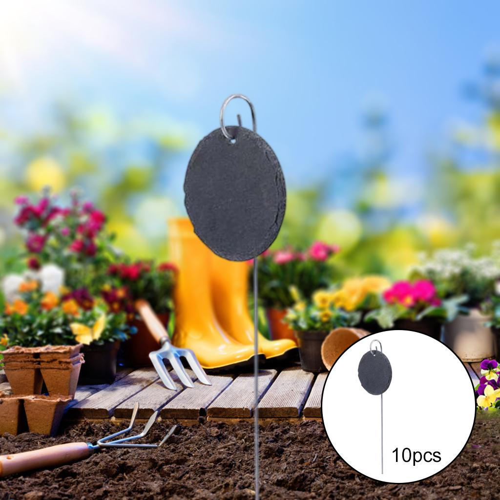 Labels 10Pcs Signs Garden Markers Slate for