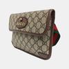 [Pre-Owned] Neo Vintage Series Gold Foil Logo Monogram Tiger Head Decorative Striped Shoulder Strap Canvas And Leather Messenger B - Excellent #VE3BWG