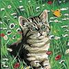 Canvas Kit 18 X 14 Cm Margot Canvas Model Cat In the Field