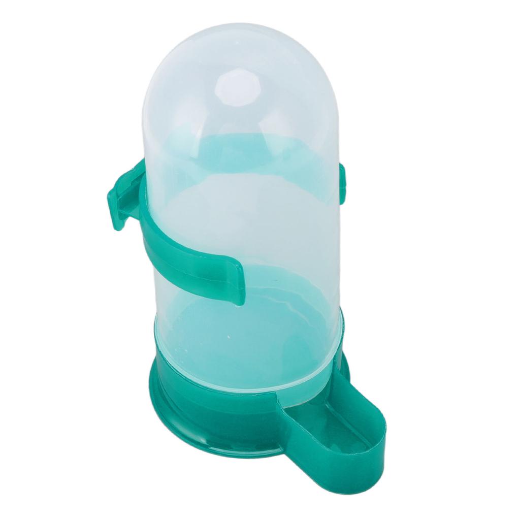 Pigeon Water Feeder Convenient Large Capacity Automatic Bird Drinking Feeder for Bird Cage Green