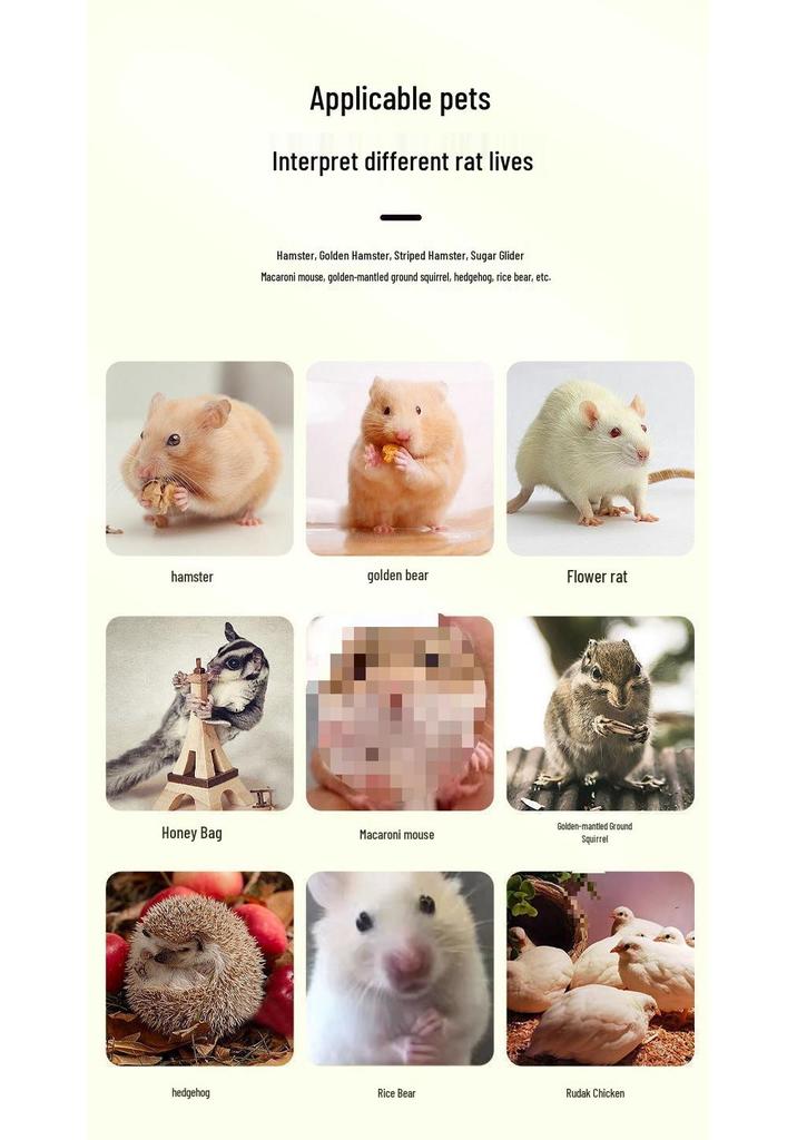 Luxuriöser Acryl-Hamsterkäfig Villa mit Transparentem Design und Bepflanzung - Goldbär Edition