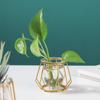 Wohnkultur Moderne Eisen Linie Vase Anlage Halter Nordic Goldene Glas Vase Vase Metall Terrarium Geometrische Hydrokultur Pflanze Blume