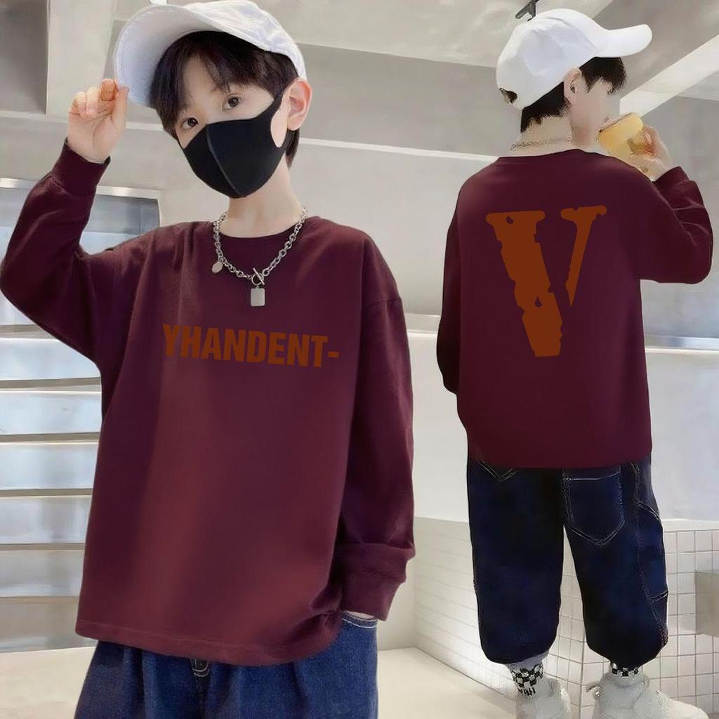 Boys' 100% Cotton Long Sleeve Round Neck T-Shirt - Autumn Casual Loose Fit for Kids