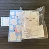 SEVENTEEN 10cm Unopened Doll for Sale